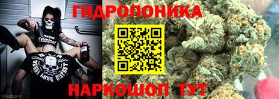 эйфоретик Краснодар