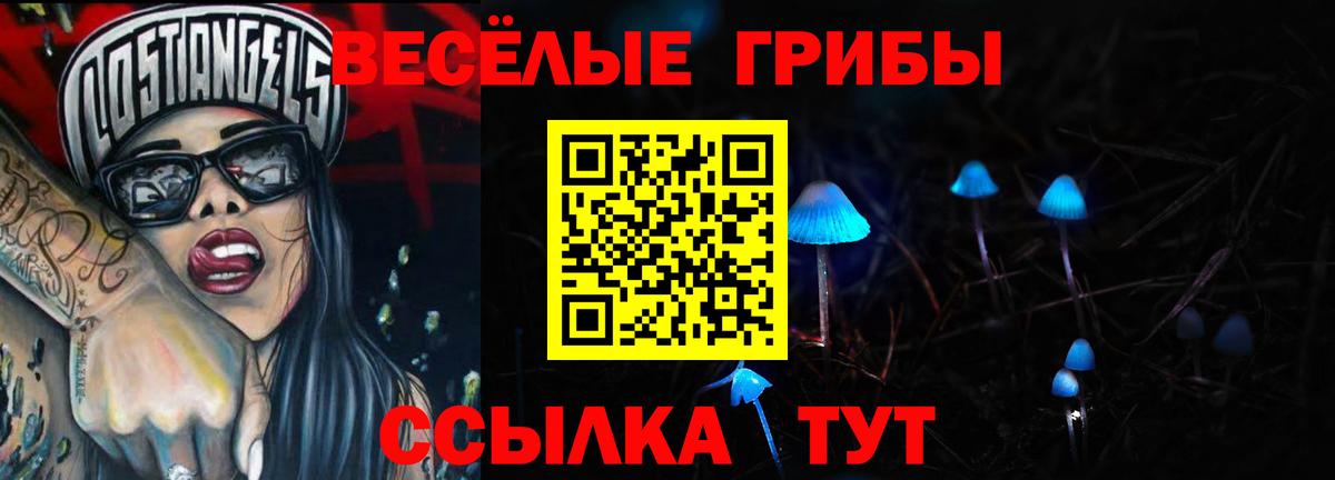 Псилоцибиновые грибы MAGIC MUSHROOMS  Галлюциногенные грибы ЛСД  Щёкино  Вход с VPN 